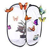 LoKauf Farfalle allevate con farfalle e farfalle, 40 x 40 x 60 cm