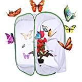 LoKauf Farfalle allevate con farfalle e farfalle, 40 x 40 x 60 cm