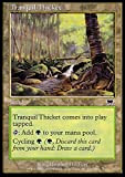 Magic The Gathering - Tranquil Thicket - Boschetto Tranquillo - Onslaught