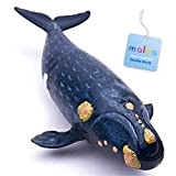 Maloa® Balena Franca Boreale Giocattolo Dipinto a Mano + eBook, Grande Modellino Balena 31 cm , Balena Realistico, Oceania Animali ...