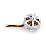 Man-hj MJX Bugs 3 PRO B3 PRO RC Quadcopter Ricambi 2204 CCW Brushless Motor 1500KV CW / (Color : Clockwise)