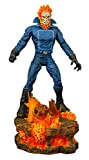 Marvel Select Ghost Rider Action Figure [Lingua inglese]