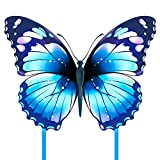 Mint's Colorful Life Drago farfalla aquilone per bambini e adulti (blu)