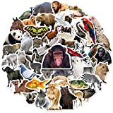 Mistree 50 Adesivi Per Animali, Adesivi Animali Realistici Per I Bambini, Conoscendo Il Vero Mondo Animale