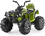 Mondial Toys Moto ELETTRICA per Bambini Super Quad Lander 12V ATV con Ammortizzatori Full Optional (Verde)