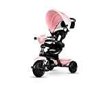 Mondial Toys Triciclo QPlay COSY 4in1 CON MANIGLIONE DIREZIONABILE BORSA E CAPPOTTINA PARASOLE (Pink)