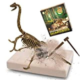 MUSCCCM Kit di scavi per Dinosauri Brachiosaurus, Kit di scavo fossili di Scheletro Dino Modello di Dinosauro Realistico Giocattoli educativi ...