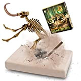 MUSCCCM Kit di scavi per Dinosauri Mammut, Kit di scavo fossili di Scheletro Dino Modello di Dinosauro Realistico Giocattoli educativi ...