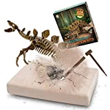 MUSCCCM Kit di scavi per Dinosauri Stegosaurus, Kit di scavo fossili di Scheletro Dino Modello di Dinosauro Realistico Giocattoli educativi ...