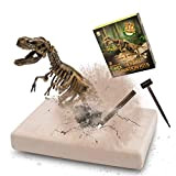 MUSCCCM Kit di scavi per Dinosauri T-Rex, Kit di scavo fossili di Scheletro Dino Modello di Dinosauro Realistico Giocattoli educativi ...