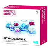 Museo della scienza | Kit sperimentale per la crescita del cristallo | Coltiva i tuoi cristalli | Scienza e chimica ...
