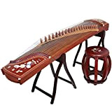 MYRCLMY Guzheng, Zither Mahogany Series Shell Shell Carving Professional Grade Examit Beginner Guzheng Strumento, con Supporto Musicale, Stand Guzheng, Codice ...