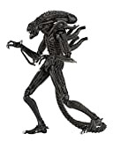 NECA Figura Ultimate Alien Warrior Marrone, Multicolore (634482516836)
