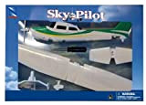 NewRay 20665 - Sky Pilot Scala 1:42, Cessna 172 Skyhawk Model Kit