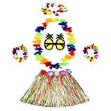 NITAIUN 6 Pezzi Kit per Costumi da Gonna Hula, Costume da Hula Hawaiano con Ghirlanda Collana Bracciale Fascia per Capelli ...
