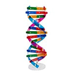 NUOBESTY Bambini DNA Modello Kit Geni Modelli DNA Doppia Elica Divulgazione Scientifica Sussidi Didattici