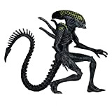 oLUes Giocattoli for Bambini, Alien vs. Predator 7th Wave Avp Battle Alien Dog, Serie di Figure Modello Mobile da 7 ...
