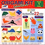 Origami Paper - Origami Kit Selection 1 (Easy) - Illustrated instructions + 81 sheets of origami paper - 15cm x ...