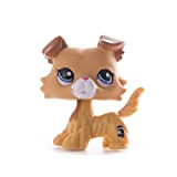 Originale LPS Little Pet Shop Collie Dog Collection Shorthair Cat Dolls Action Figure Modello Giocattoli per Ragazza Bambini Regalo
