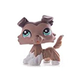 Originale LPS Little Pet Shop Collie Dog Collection Shorthair CatDolls Action Figure Modello Giocattoli per Ragazza Bambini Regalo Collie-3