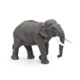 Papo-PAP50131-Elefante Asiatico Figura