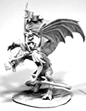 Pechetruite 1 x Kyra And LAVARATH Dragon Rider - Reaper Bones Miniatura per Gioco di Ruolo Guerra - 77557
