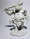 Pechetruite 1 x Ogre Guard - Reaper Bones Miniatura per Gioco di Ruolo Guerra - 77456