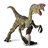 Peegsan Giocattolo Dinosauro Oviraptor,Modello Giocattolo di Dinosauro Realistico | Oviraptorosaurs Figure Toy, Oviraptor Collection Figurine, Dinosaur Educational Toys for Boys ...