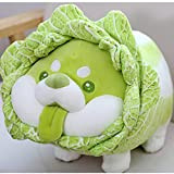 Peluche a forma di verdura, cavolo Shiba Inu Corgi cane peluche morbido cuscino, cuscino carino per cani e verdure, regalo ...