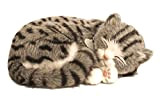 Perfect Petzzz - Gattino Che Dorme e Respira, Colore: Grigio tigrato