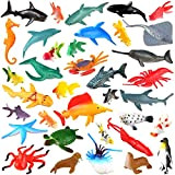 Pinowu Animali Marini, Confezione di 36 Mini Animali Giocattolo Assortiti in Plastica, Aspetto Realistico, Perfetti Come Gioco per Bagnetto, Gioco ...