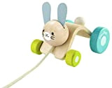 PLAN TOYS- Hopping Rabbit, Colore Legno, 5701