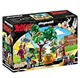 Playmobil Asterix 70933 Panoramix con calderone della Pozione Magica, Giocattoli per Bambini dai 5 Anni