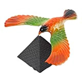 Plesuxfy Bilanciamento del Giocattolo dell'uccello del Dito - Balancing Eagle Bird Bird con Combinazione di piramidi - Giocattolo per Dita ...
