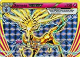 Pokemon - Xerneas Break (82/114) - XY Steam Siege - Holo