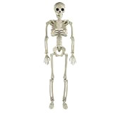 POPETPOP Halloween Scheletro Full Body Scheletro con Articolazioni Mobili 60 Centimetri del Cranio Modello di Simulazione Anatomico del Corpo Umano ...