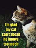 Portachiavi in acrilico con apribottiglie e apribottiglie con scritta in inglese “I'm happy my cat can't speak he know too ...