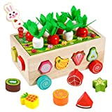 Puzzle in legno, raccolta di carote, giochi di memoria, ravanelli, forma, colore, smistamento, giocattolo educativo in legno per bambini
