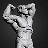 QWYU 33 Cm Arnold Schwarzenegger Bodybuilder Action Figure