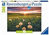 Ravensburger-135532, Denti di Leone al Tramonto, 500 Pezzi, Puzzle per Adulti, Multicolore, 16990 0