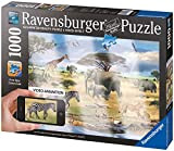 Ravensburger - 19305 - Animali della Savana - Puzzle Augmented Reality - 1000 Pezzi