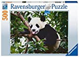 Ravensburger, Panda, 500 Pezzi, Puzzle per Adulti, Multicolore, 16989 4