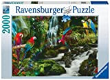Ravensburger, Paradiso dei Pappagalli, 2000 Pezzi, Puzzle per Adulti, Multicolore, 17111 8