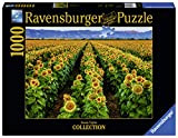 Ravensburger Puzzle 1000 pezzi, Campo di Girasoli, Collezione Paesaggi & Foto, Puzzle per Adulti, Puzzle Ravensburger - Stampa di Alta ...