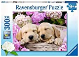 Ravensburger Puzzle, Labrador Sognanti, 300 Pezzi XXL, Puzzle per Bambini, Età Raccomandata 9+, Stampa di Qualità, 13235 5
