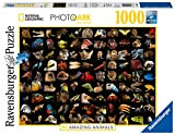 Ravensburger Puzzle, Puzzle 1000 Pezzi, 99 Splendidi Animali National Geographic, Puzzle per Adulti, Puzzle Animali, Puzzle Ravensburger - Stampa di ...