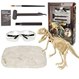 REDO Dinosauro Fossili di scavo archeologico, kit di scavo Dino scheletro fossile giocattolo educativo per bambini, miglior regalo per ragazzi ...