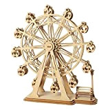 Rolife Woodcraft Kit di Costruzione Modello 3D in Legno Costruzione Kit Giocattolo Regalo di Puzzle (Ferris Wheel)