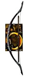 Rubie's - Arco e Freccia in Legolas per Adulti, Motivo: Il Signore degli Anelli