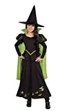 Rubie's, The Wizard of Oz The Wicked Witch of the West – S